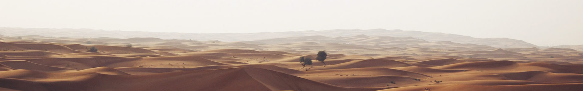 ĴƼ޹˾